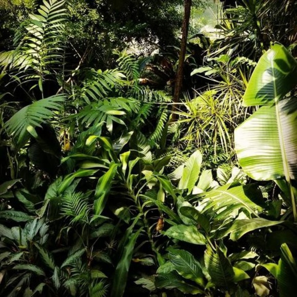 Meet your Posher, Miranda - Picture 1 of 1